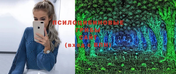 хмурый Козловка