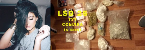 хмурый Козловка