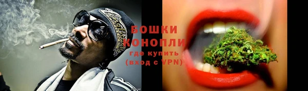 хмурый Козловка