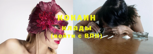 spice Козельск