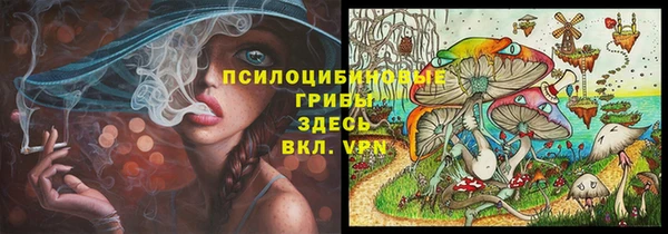 прущие крисы Щёлкино