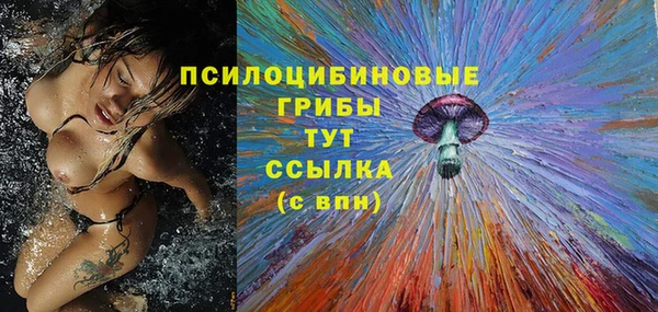 spice Козельск