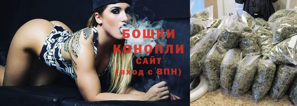spice Козельск