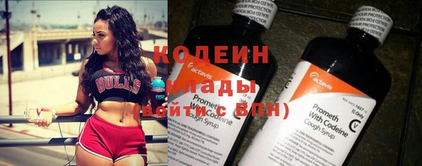 хмурый Козловка