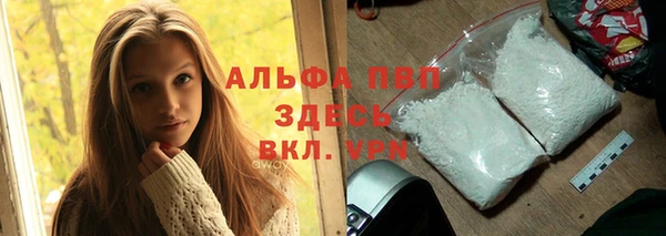 spice Козельск